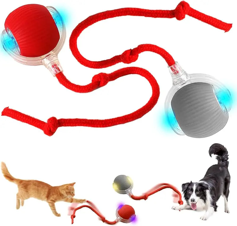 Minge Interactiva Automata pentru Pisici si Caini cu Snur – 1 + 1 GRATIS