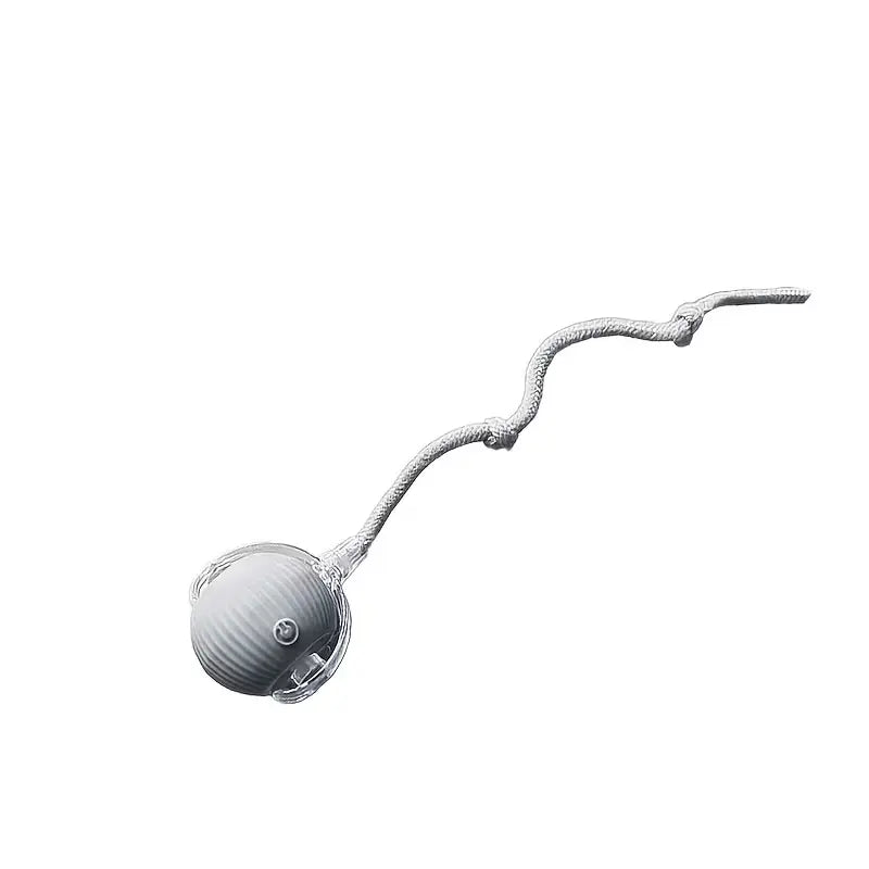Minge Interactiva Automata pentru Pisici si Caini cu Snur – 1 + 1 GRATIS