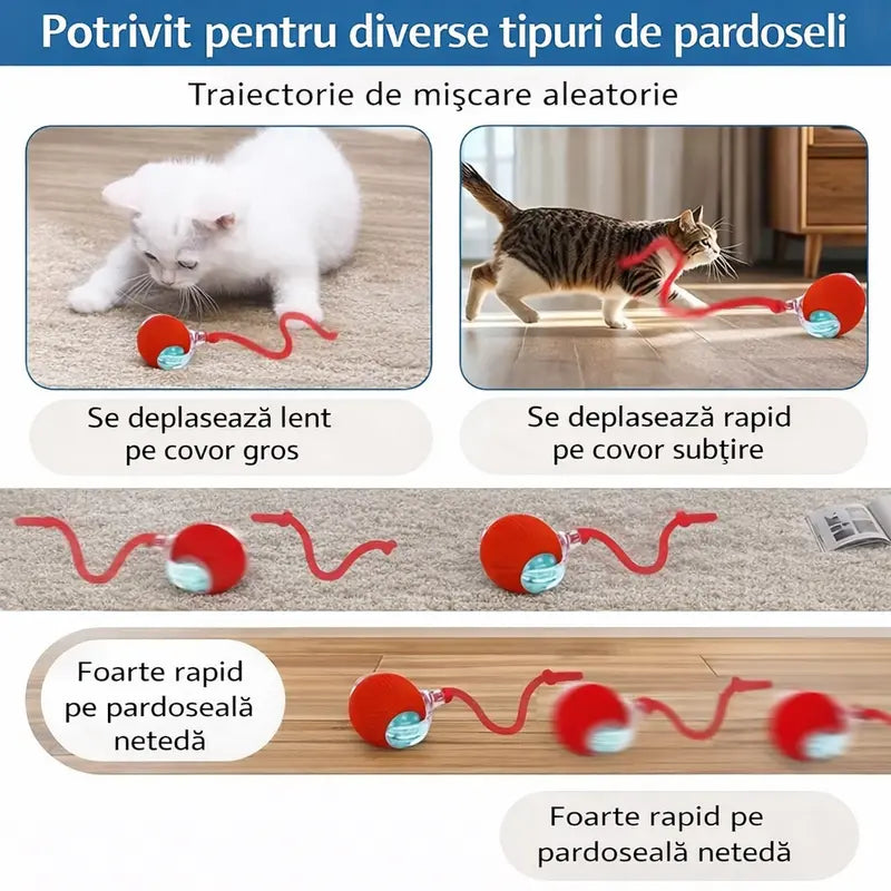 Minge Interactiva Automata pentru Pisici si Caini cu Snur – 1 + 1 GRATIS