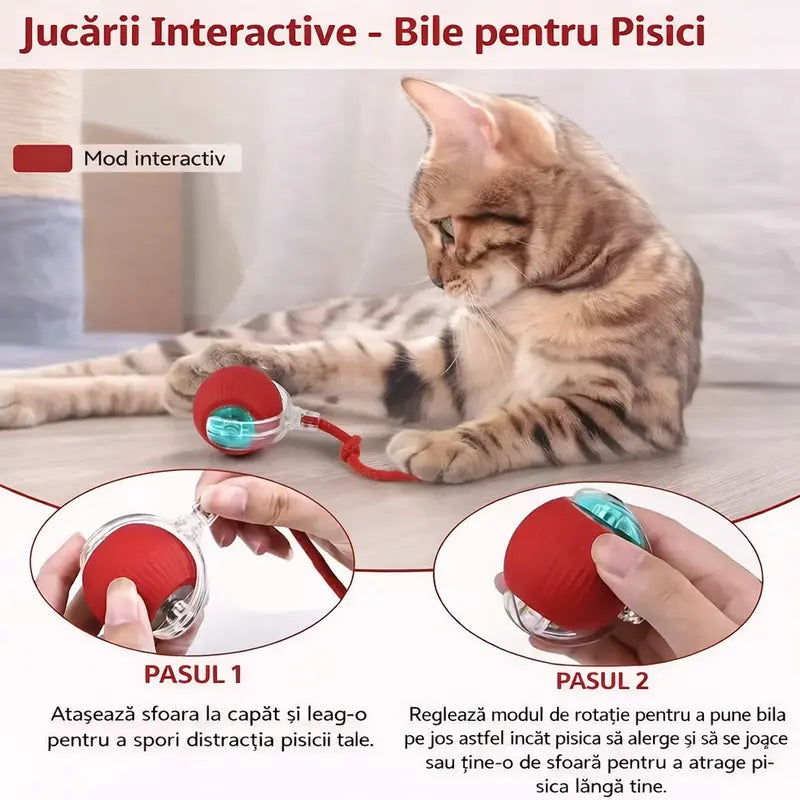 Minge Interactiva Automata pentru Pisici si Caini cu Snur – 1 + 1 GRATIS