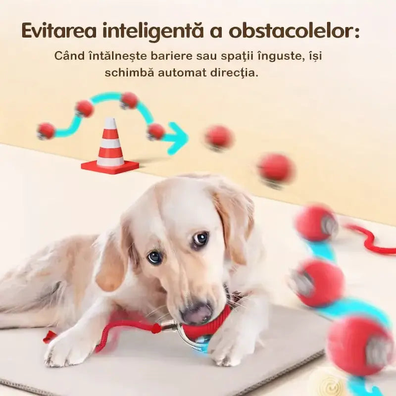 Minge Interactiva Automata pentru Pisici si Caini cu Snur – 1 + 1 GRATIS