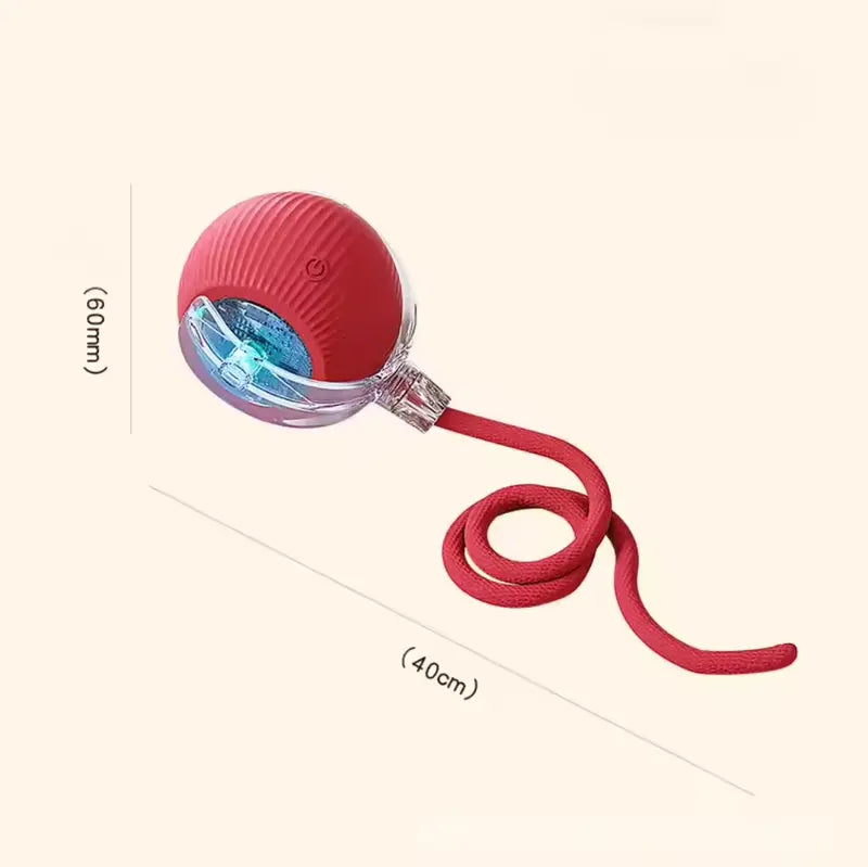 Minge Interactiva Automata pentru Pisici si Caini cu Snur – 1 + 1 GRATIS