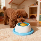 Bol de lins & hrănire lentă Homzen – pentru câini și pisici