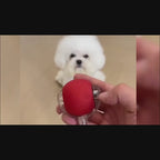 Minge Interactiva Automata pentru Pisici si Caini cu Snur – 1 + 1 GRATIS